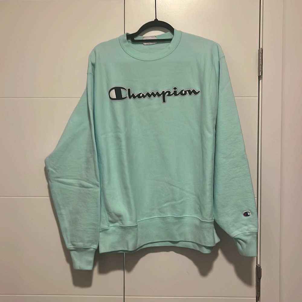 NWOT CHAMPION SWEATSHIRT!